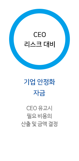 CEO 리스크 대비